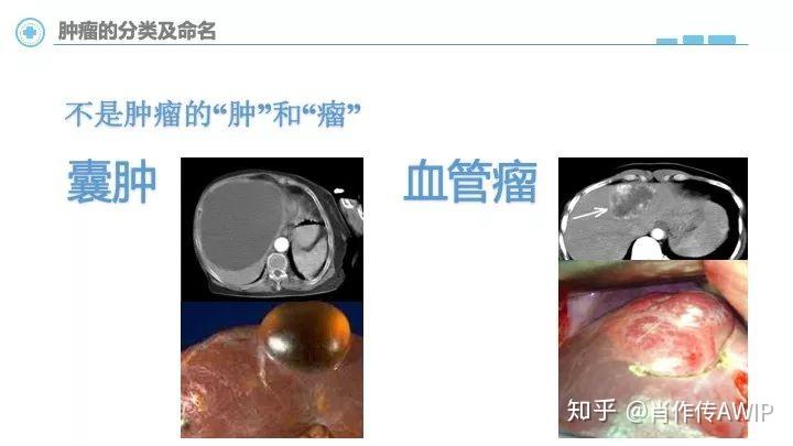 做一次商丘三代试管医院联系方式双胞胎多少钱